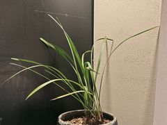 -羊门客在·烤盐池滩羊·川菜