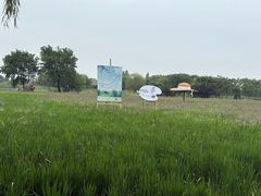 -长兴太湖图影湿地文化园