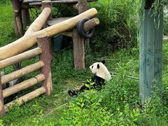 -沈阳森林动物园