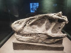 -自贡恐龙博物馆