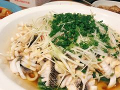 -三猫黑鱼花(南大店)