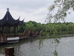 -广富林郊野公园