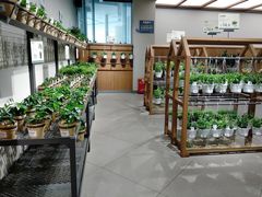 -鹿岛会员店 (龙湖三千集天街店)