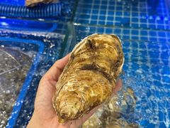 -大商麦凯乐(大连总店)