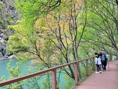 -叠溪松坪沟景区