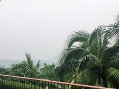 -日落吧·海景咖啡厅·餐酒吧·鸡尾酒·下午茶·乐队表演·浪漫夕阳·三亚文华东方酒店