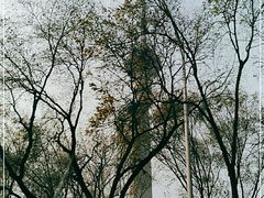 -中央广播电视塔