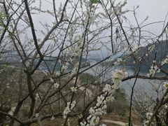 -广州市流溪河国家森林公园
