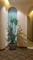 -娇玫荟SPA