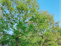 -白塘生态植物园