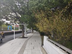 -中央公园(苏州工业园区)