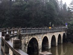 -九华山聚龙大酒店