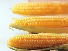 玉米-永兴食杂店烘焙坊(新年蛋糕店)