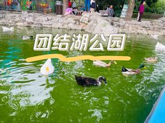-团结湖公园
