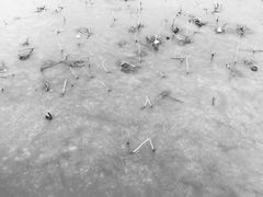 -天津东丽湖风景区