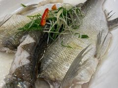 -寻味顺德·南记酒家·传统顺德菜·鱼生(广源路店)