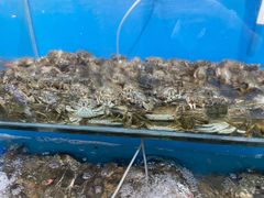 -港畔赶海蒸汽海鲜烧烤自助(仙螺岛店)