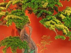 -阿伟海鲜楼·福建菜(延寿店)