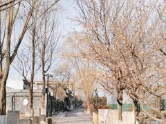 -三里河公园