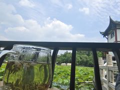 -桂湖森林公园