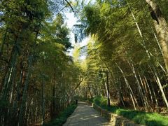 -杭州半山国家森林公园