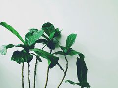 -UNI UNI(环亚凯瑟琳店)