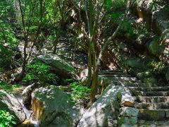 -大岭沟猕猴桃谷风景区