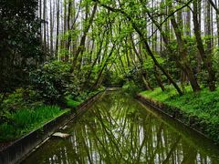-上海滨江森林公园