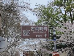 -紫峰大厦