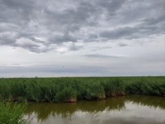 -包头南海湿地景区