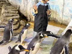 -成都浩海立方海洋公园