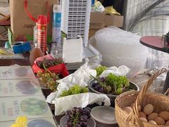 -马陆小张葡萄园农家乐