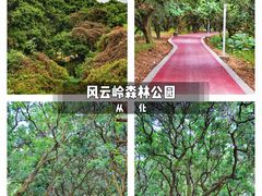 -风云岭森林公园