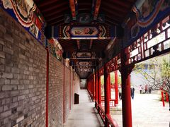 -广富林郊野公园