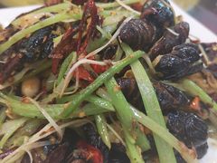 -李连贵熏肉美食酒楼(东市商贸店)