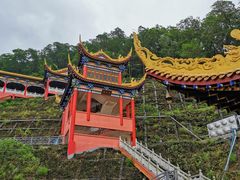 -东莞市大岭山森林公园