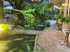 -Fern Forest Cafe
