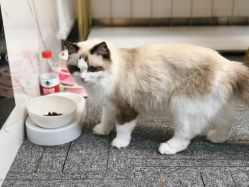 -元一肌肤管理中心