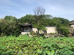 -八大山人梅湖景区