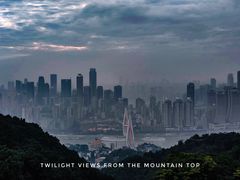 -南山植物园