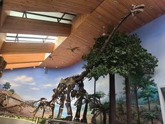 -延庆地质公园博物馆