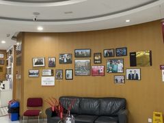 -雅悦齿科(顾村公园店)
