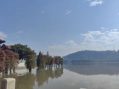 -顺峰山公园