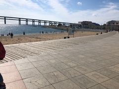 -星海湾跨海大桥