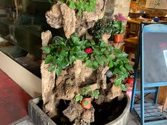 -人民公社大食堂(张家湾店)