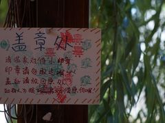 -猫的天空之城概念书店(丽江古城饮玉巷店)