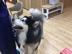 -白兔子密室(长寿路店)