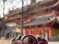 -上海东林寺(金山区)