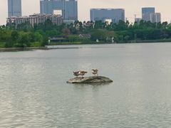 -海珠湖公园