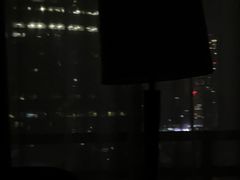 -上海波特曼丽思卡尔顿酒店